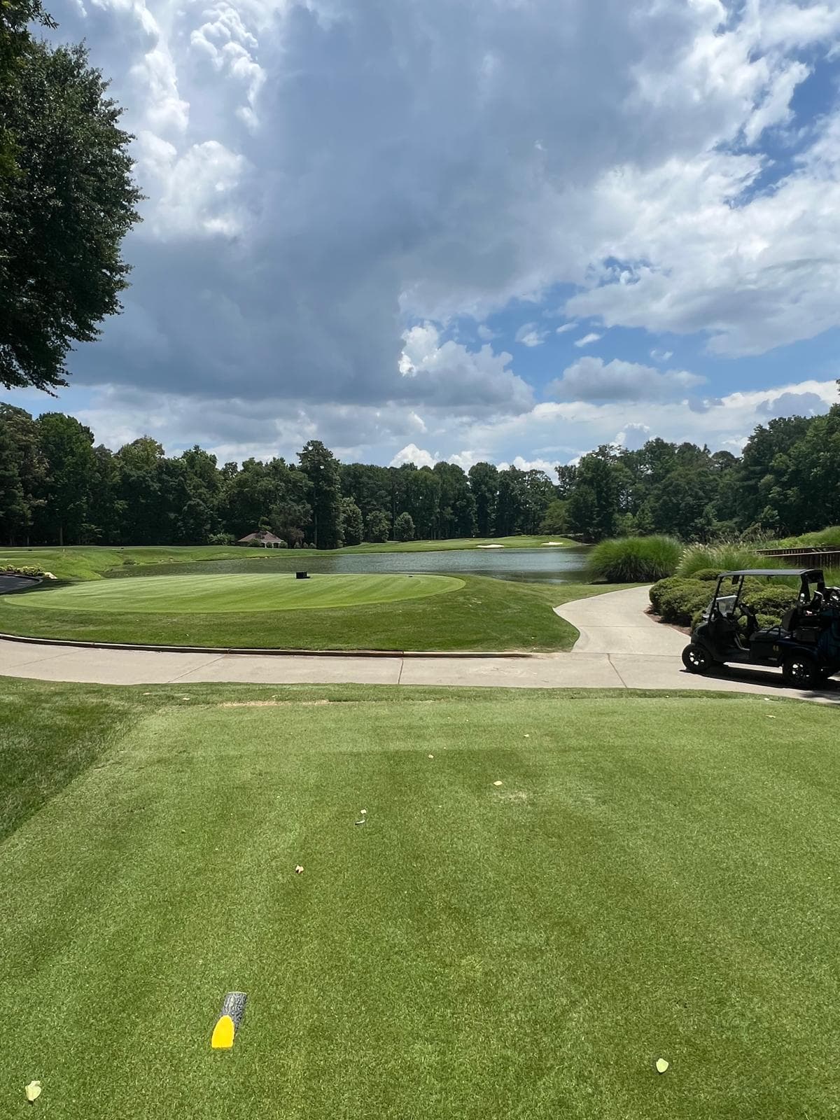 Junior Golf Camps and Instruction