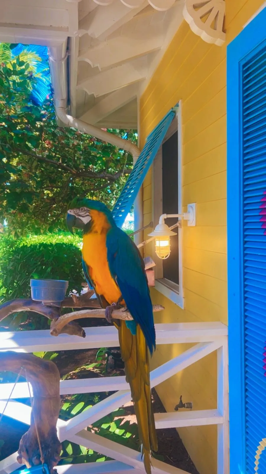 MBN Bahamas